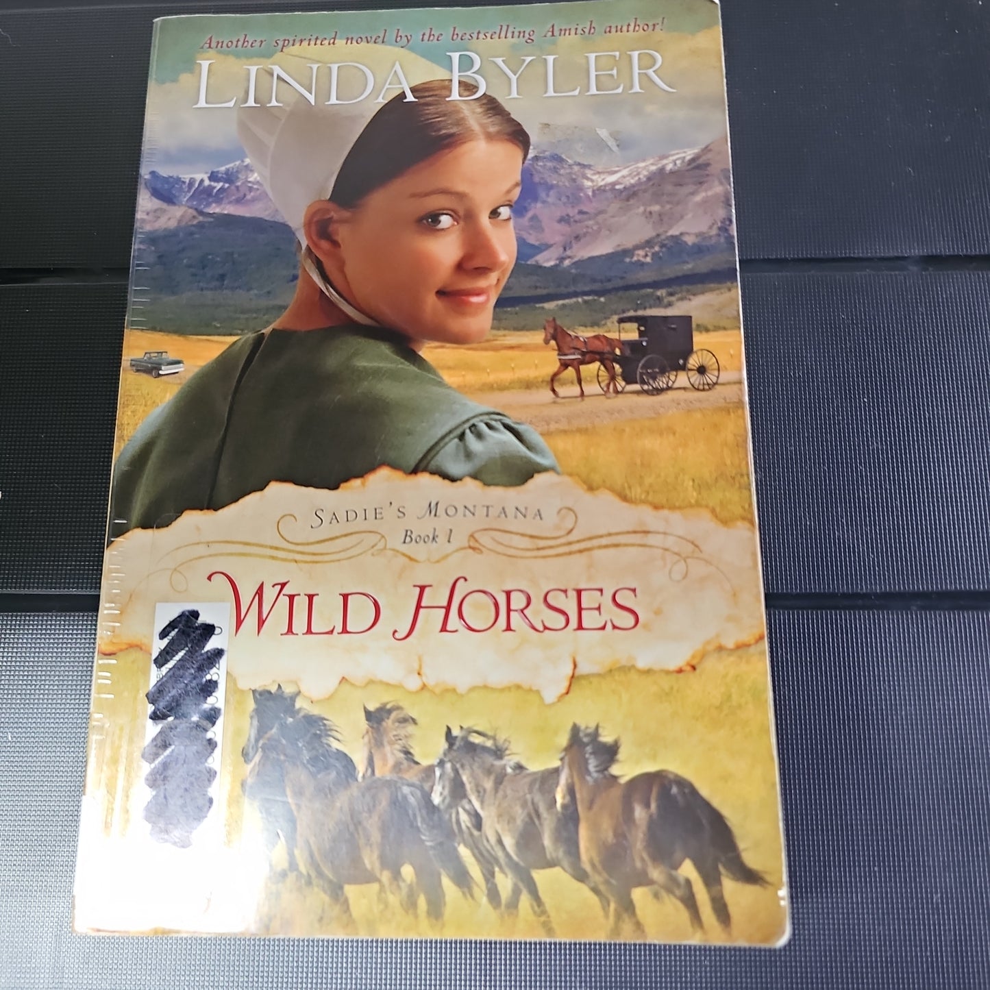 Saidie's Montana Book 1 Wild Horses