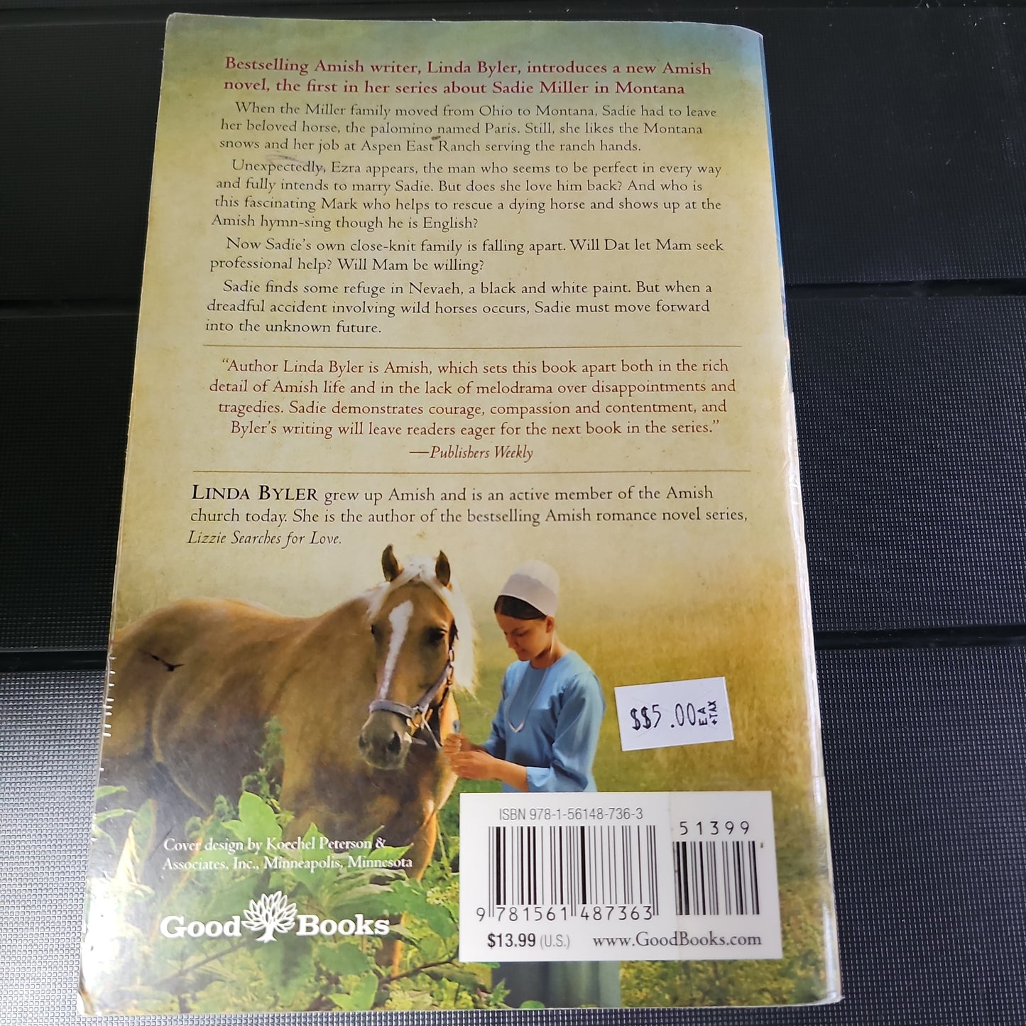 Saidie's Montana Book 1 Wild Horses