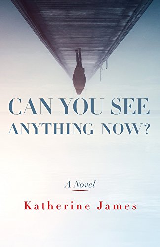 Can You See Anything Now?: A Novel (Paraclete Fiction)